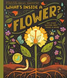 Whats Inside A Flower?: And Other Questions About Science & Nature , Hardcover by Ignotofsky, Rachel