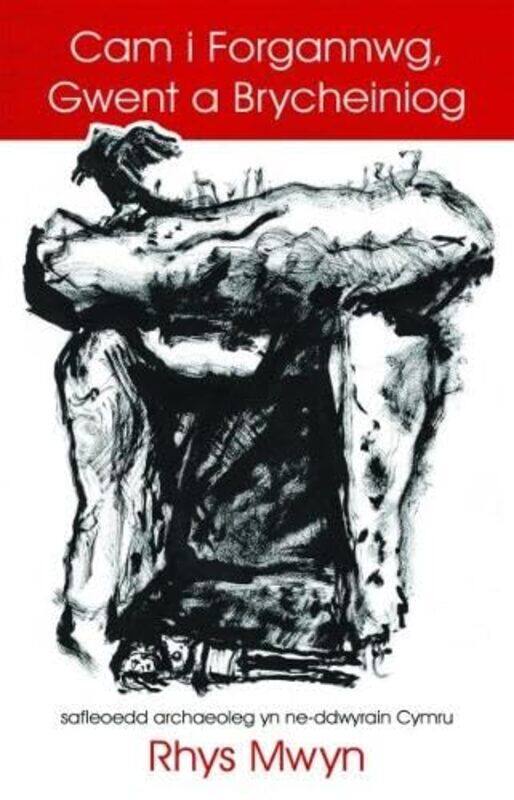 

Cam i Forgannwg, Gwent a Brycheiniog by Rhys Mwyn -Paperback