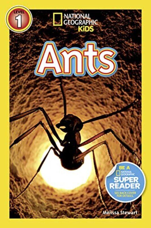 

Ants By Stewart Melissa Paperback