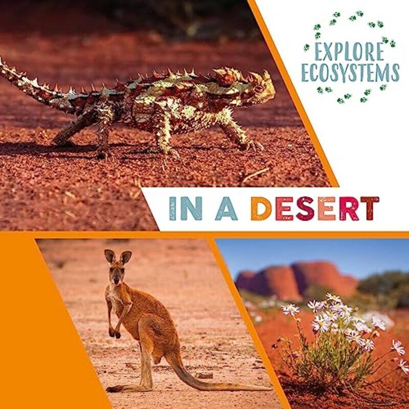 

Explore Ecosystems In a Desert by Laurie Kelly McCorryJeff Mason-Hardcover