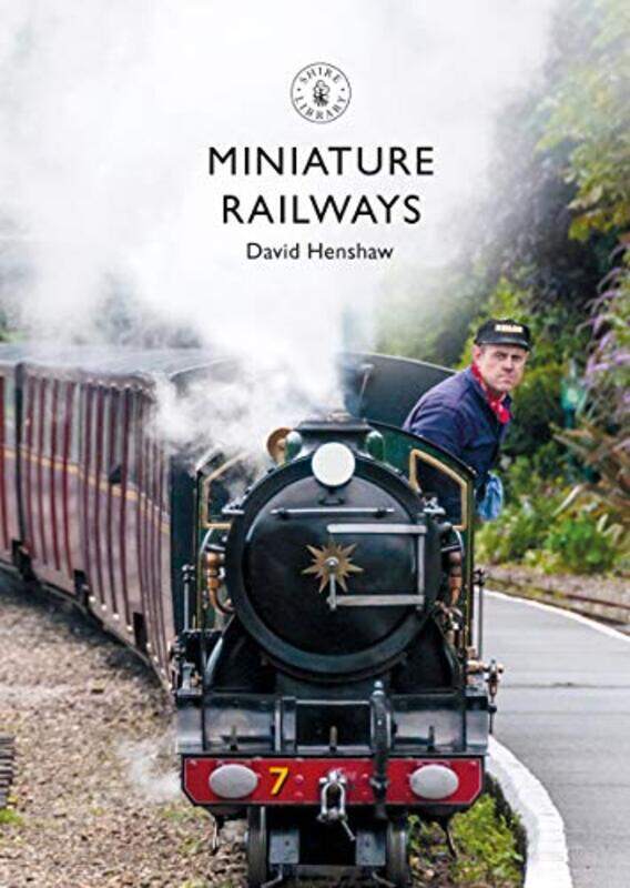 

Miniature Railways by Amy Leigh Mercree-Paperback