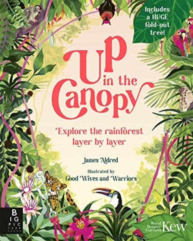 

Up in the Canopy by Gavin Rae-Hardcover