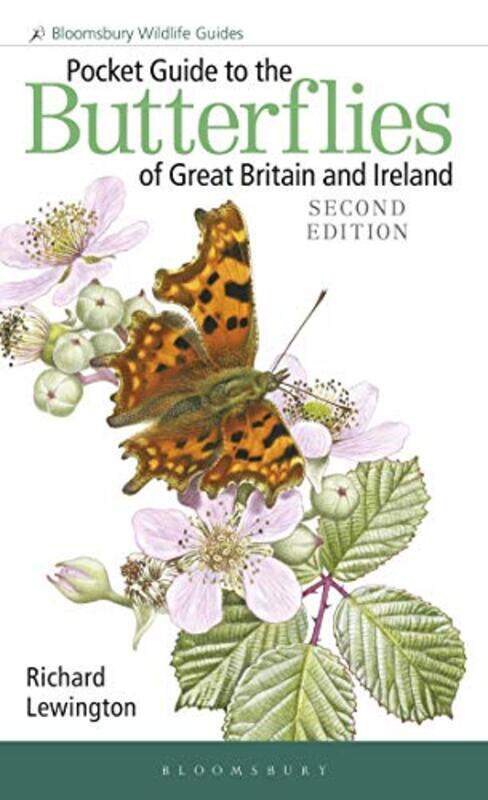 

Pocket Guide to the Butterflies of Great Britain and Ireland by Lisa J Amstutz-Paperback