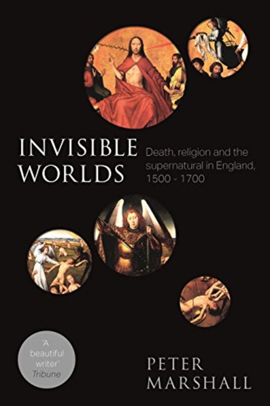 

Invisible Worlds by Professor Peter Marshall-Paperback