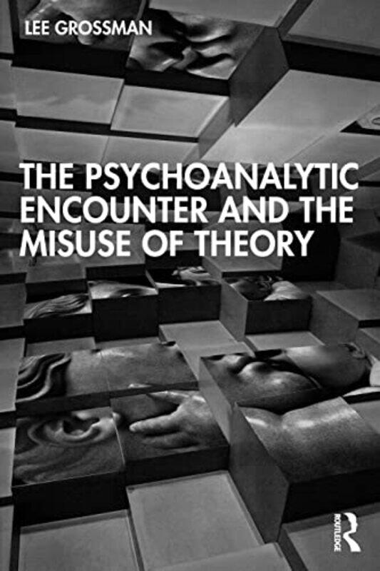 

The Psychoanalytic Encounter and the Misuse of Theory by Lee Grossman-Paperback
