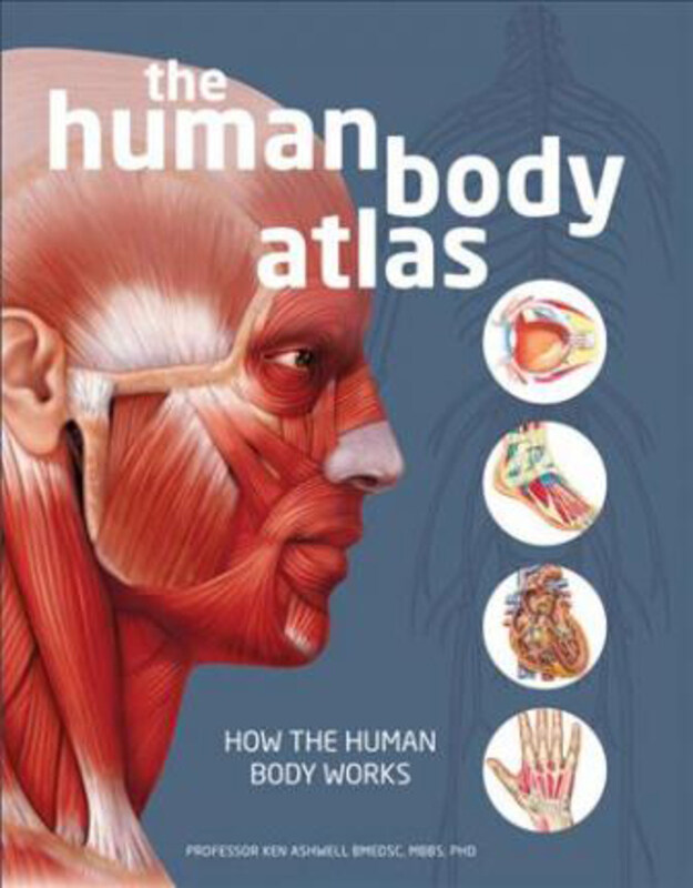 

The Human Body Atlas: How the Human Body Works, Hardcover Book, By: National Geographic