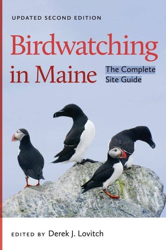 

Birdwatching In Maine by Derek J Lovitch-Paperback