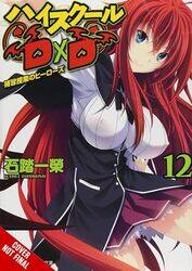 High School DxD Vol 12 light novel by Ichiei Ishibumi-Paperback
