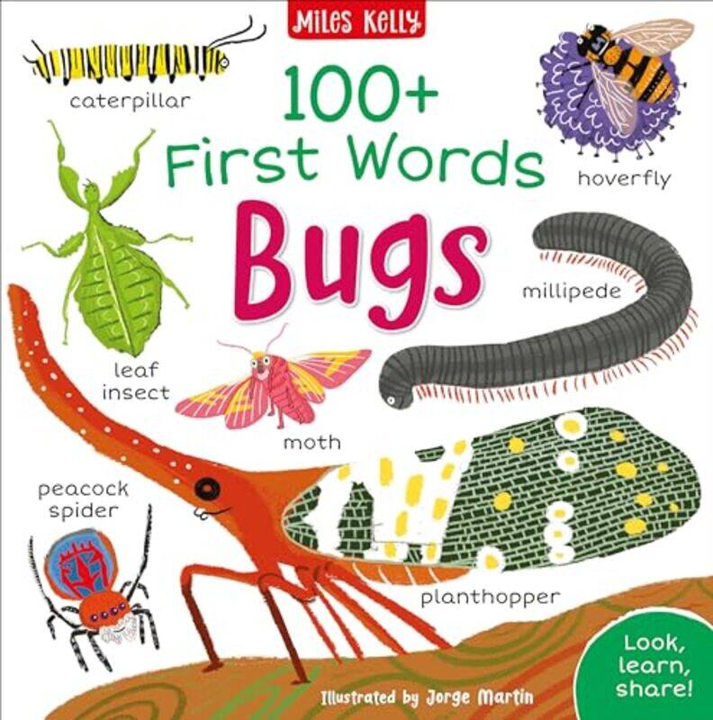 

100 First Words Bugs by Edward C DO -Paperback