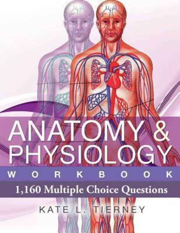 

Anatomy & Physiology,Paperback,ByKate L Tierney