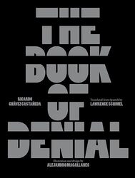 The Book Of Denial Castaneda, Ricardo Chavez - Magallanes, Alejandro - Schimel, Lawrence Hardcover