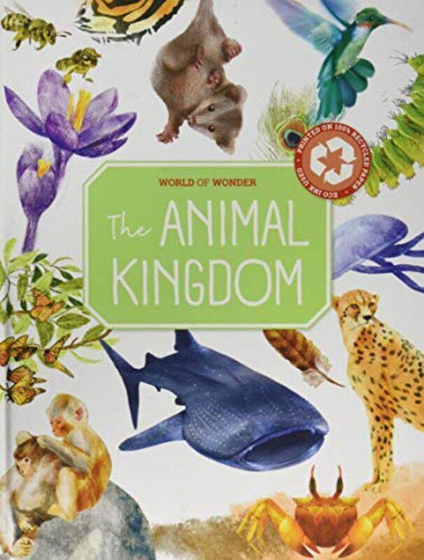 

Wow Animal Kingdom,Paperback,By:Bounce