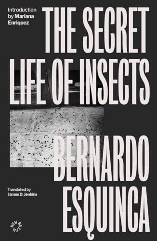 

The Secret Life of Insects by Bernardo EsquincaLuis Perez OchandoJames D. Jenkins -Paperback