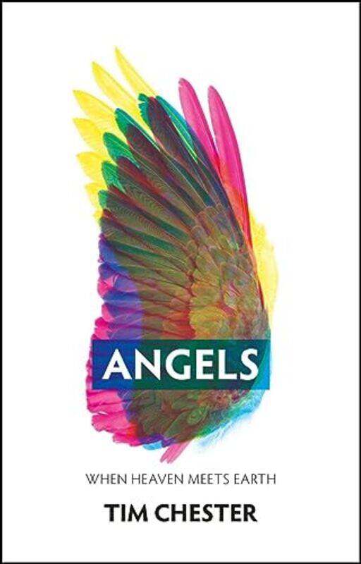 

Angels by Franklin Professor of Philosophy Professor of Philosophy University of Hawai'i at Manoa Perkins-Paperback