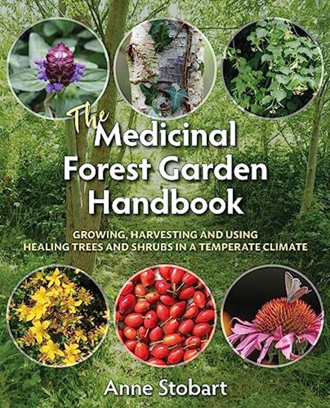 

Medicinal Forest Garden Handbk By Stobart Anne - Paperback