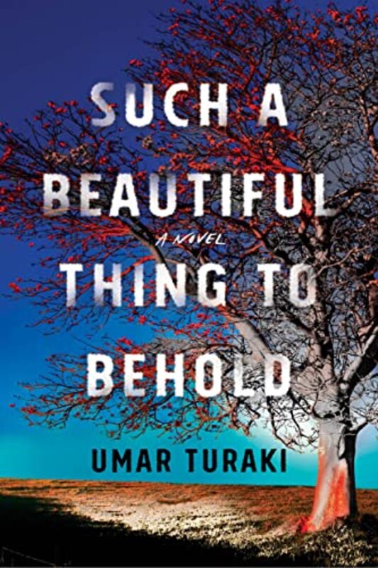 

Such a Beautiful Thing to Behold by Umar Turaki-Paperback