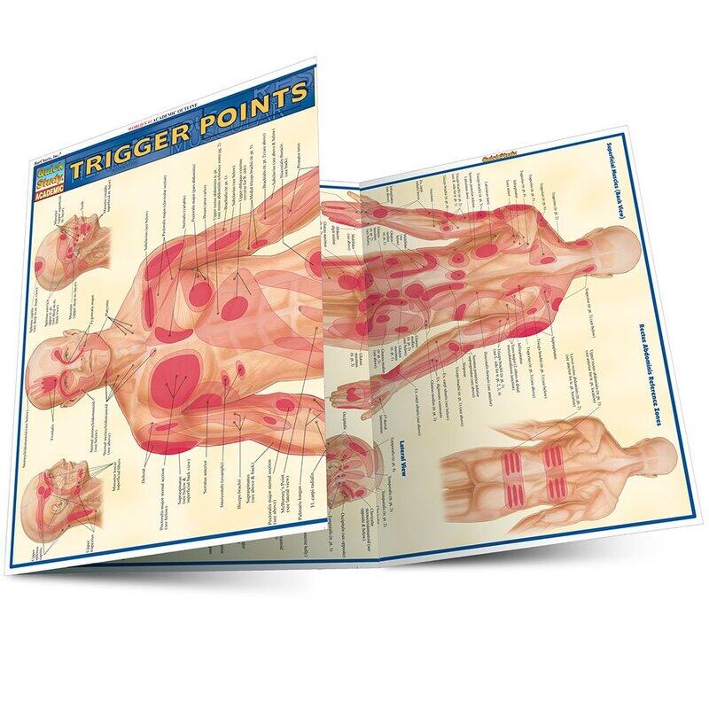 

Trigger Points, Paperback Book, By: Vincent Perez