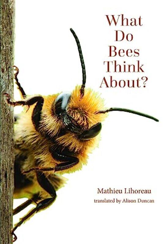 

What Do Bees Think About by Brandy-Paperback