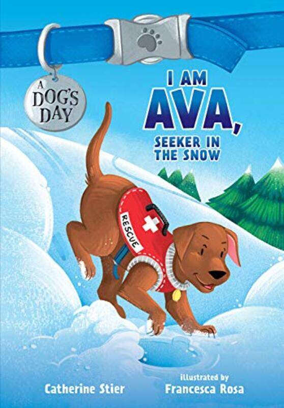 

I Am Ava Seeker In The Snow by CATHERINE STIER-Hardcover