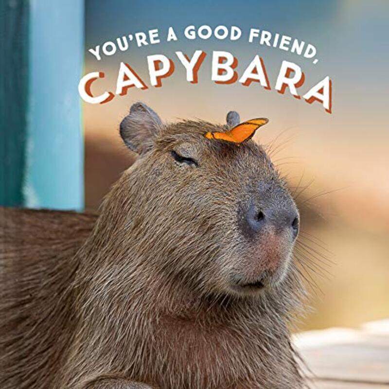 

Youre A Good Friend Capybara by Chronicle Books-Hardcover