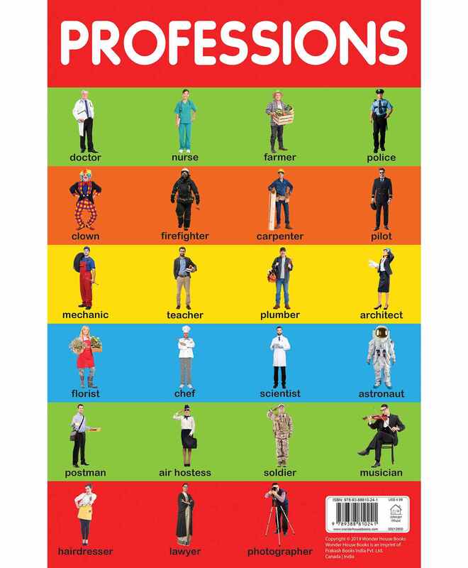Professions, Paperback Book, By: Wonder House Books