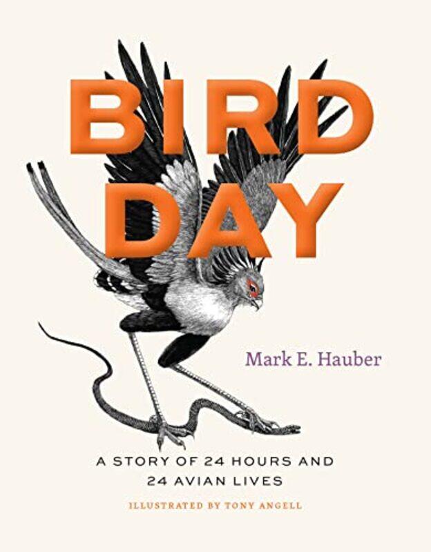 

Bird Day by Kelly J StockdaleMichelle Northumbria University UK Addison-Hardcover