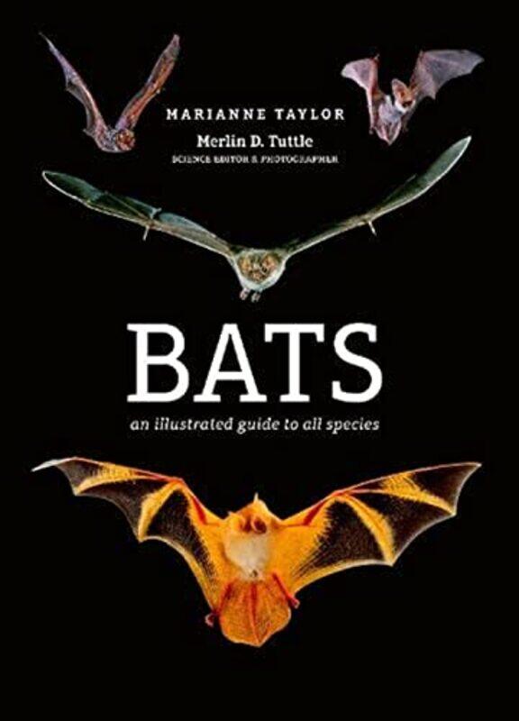 

Bats by Simon A B Graduate Institute of International Studies Geneva Schropp-Hardcover