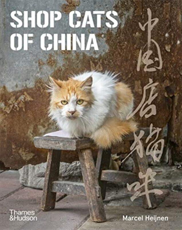 

Shop Cats of China by Seiichiro Ito-Paperback