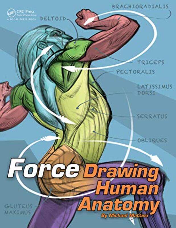 

FORCE Drawing Human Anatomy by Paola GianturcoAlex Sangster-Paperback