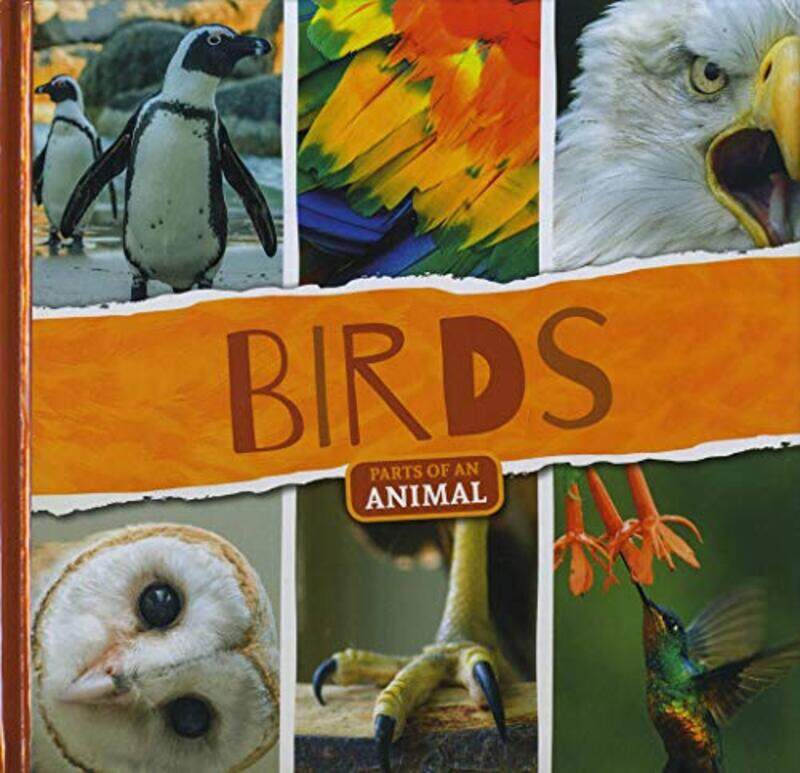 

Birds by Gill Nottingham Trent University UK RichardsRhian Richardson-Paperback