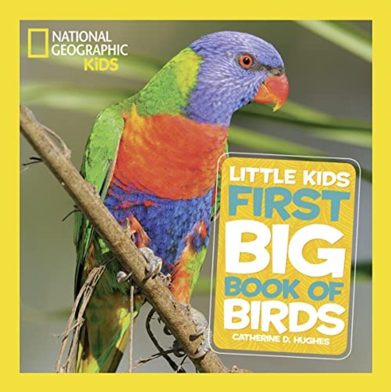 Little Kids First Big Book of Birds by Gabrielle Langholtz-Hardcover