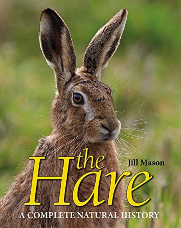 

The Hare by Lih-Mei Liao-Hardcover