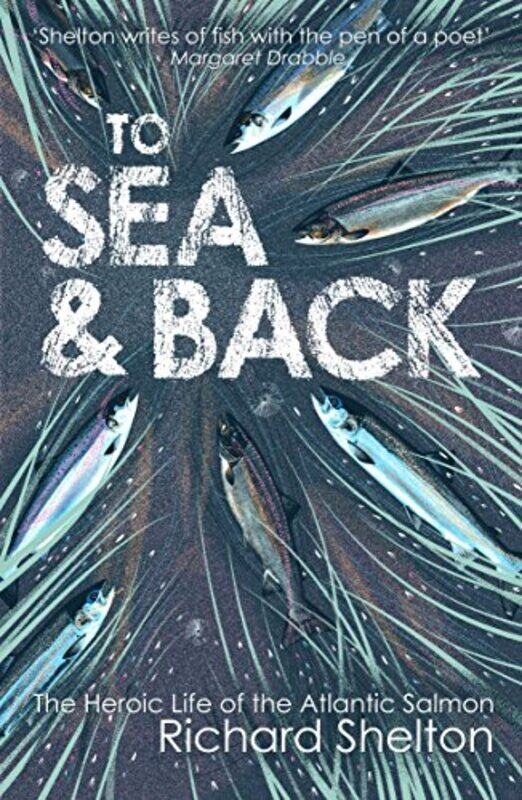 

To Sea and Back by Kerry Jang-Paperback