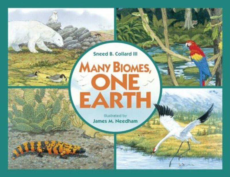 

Many Biomes One Earth by Sneed B, III CollardJames M Needham-Paperback