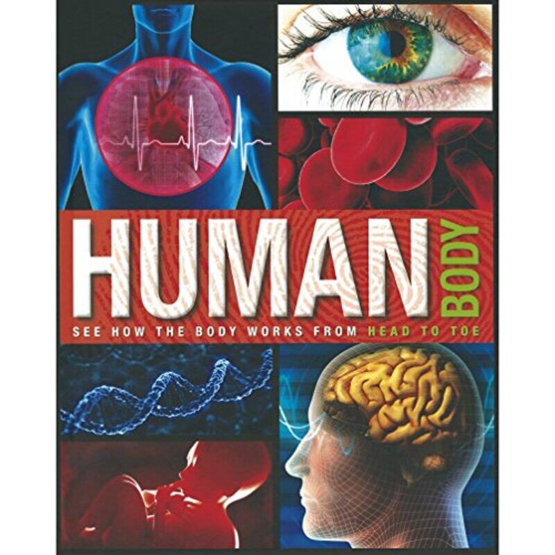 

HUMAN BODY, Hardcover Book, By: Parragon
