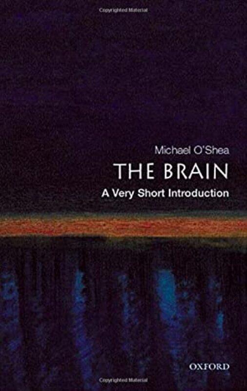 

The Brain A Very Short Introduction by Hugh Raffles-Paperback