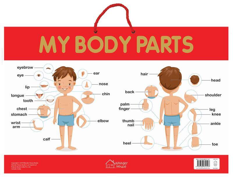 

My Body Parts, Paperback Book, By: Wonder House Books