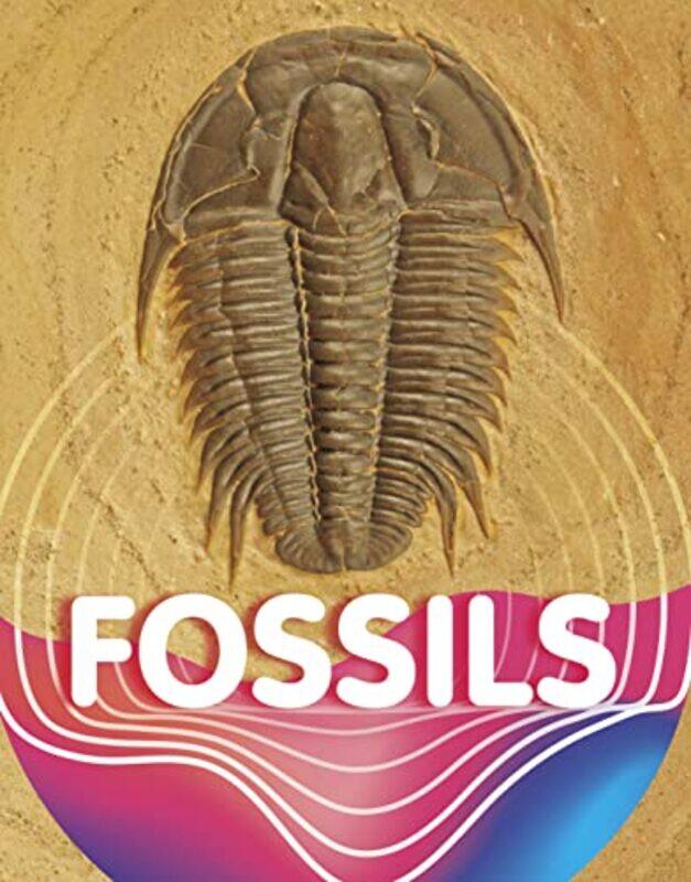 

Fossils by Keli Sipperley-Hardcover