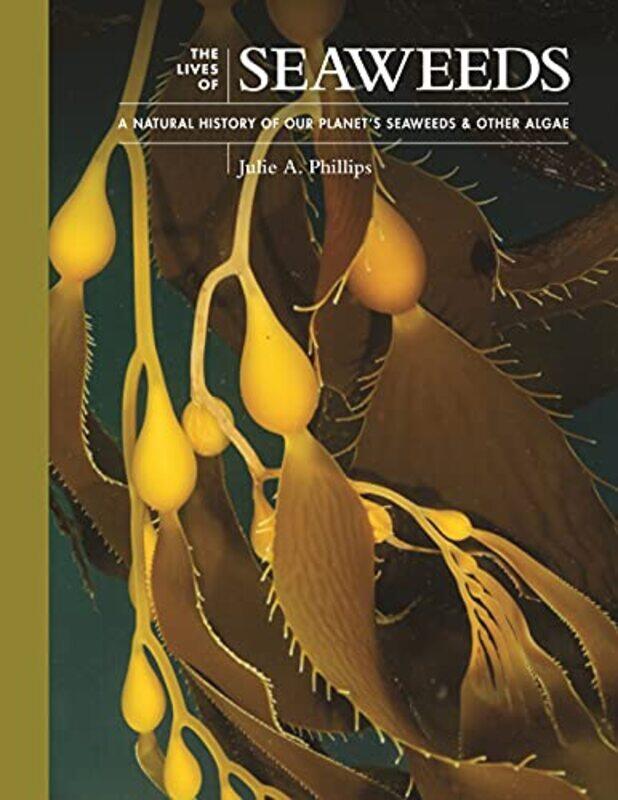 

The Lives of Seaweeds by Brian Clune-Hardcover