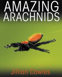 Amazing Arachnids, Hardcover Book, By: Jillian Cowles