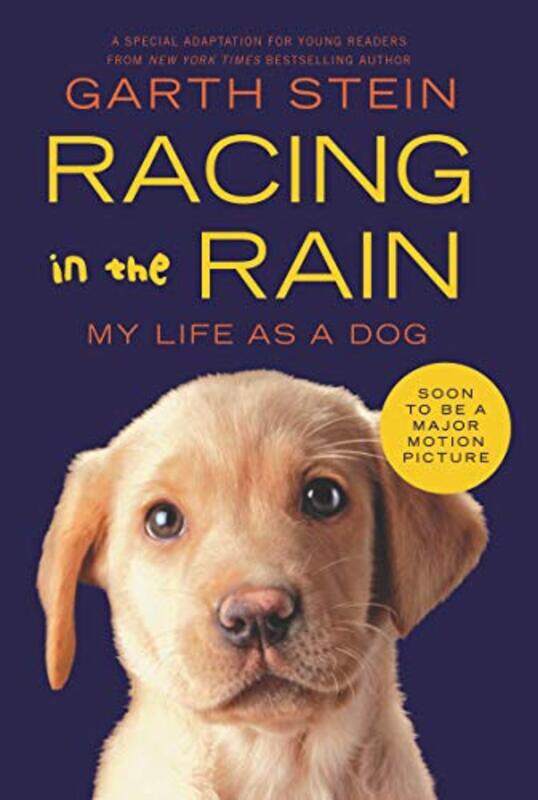 

Racing in the Rain by Garth Stein-Paperback