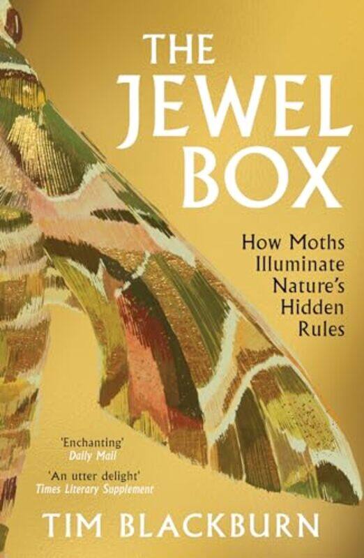 

The Jewel Box by Tim Blackburn -Paperback