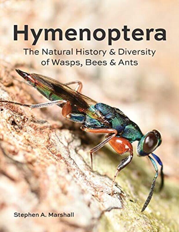 

Hymenoptera by Fiona EnglishDr Tim Marr-Hardcover