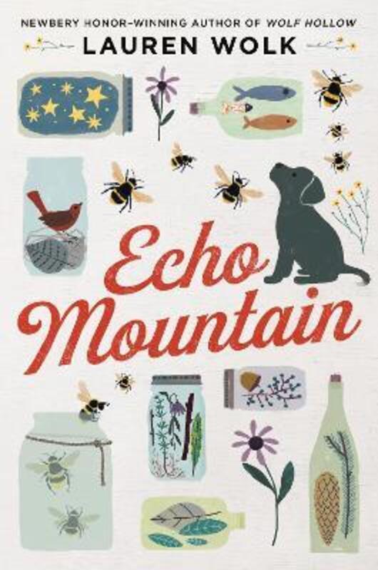 Echo Mountain.paperback,By :Wolk, Lauren