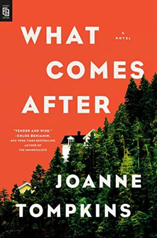

What Comes After by JoAnne Tompkins-Paperback
