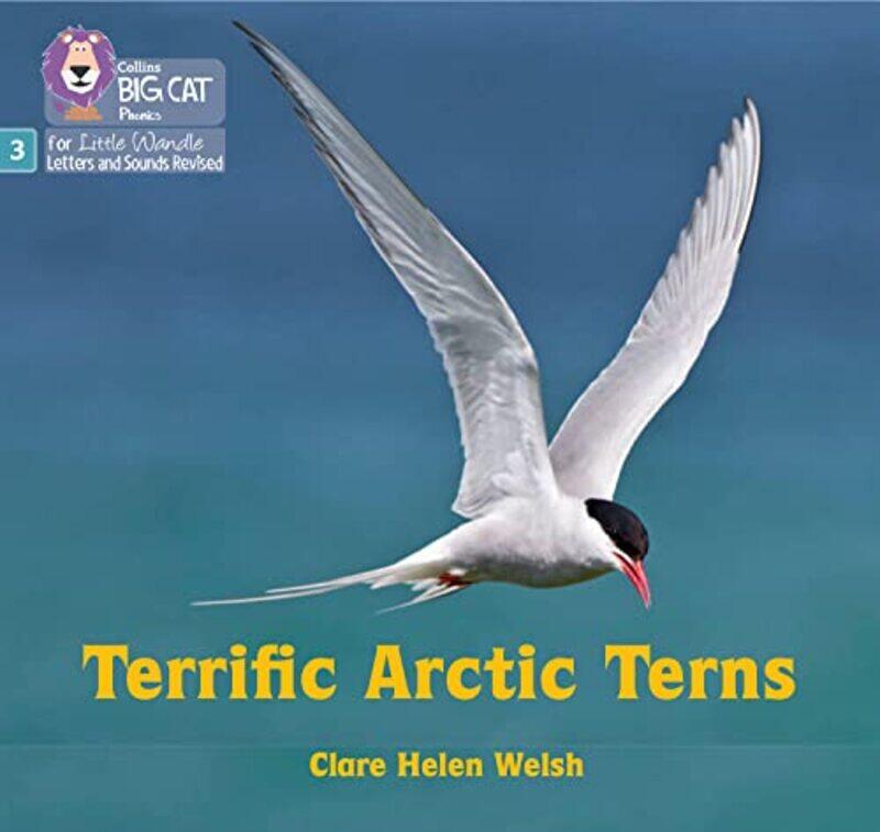 

Terrific Arctic Terns by Clare Helen Welsh - Paperback