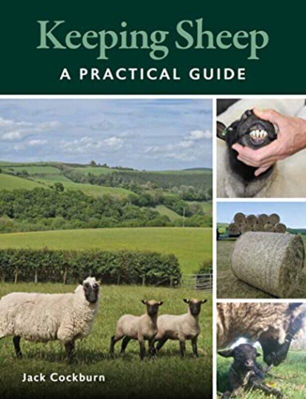

Keeping Sheep by Kathryn Bond Stockton-Paperback