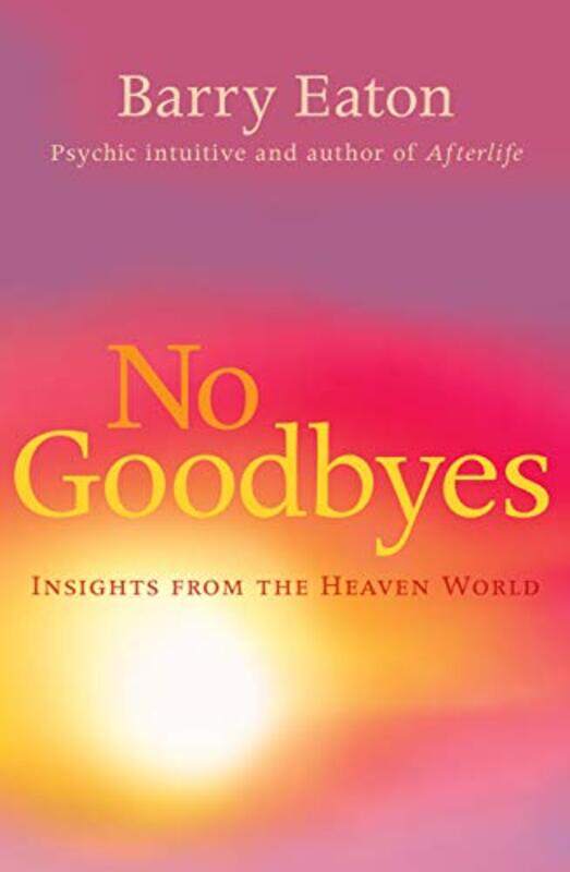 

No Goodbyes by Dr Gareth Moore-Paperback