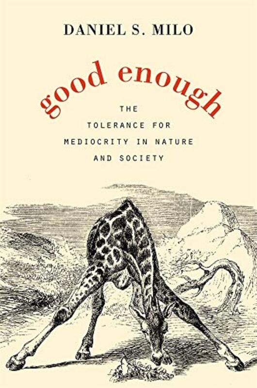 Good Enough by Daniel S Milo-Hardcover