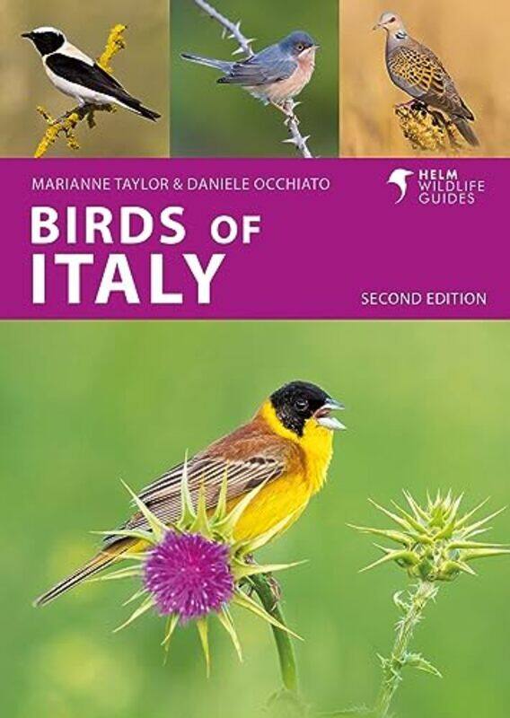 

Birds Of Italy by Daniele OcchiatoMarianne Taylor-Paperback